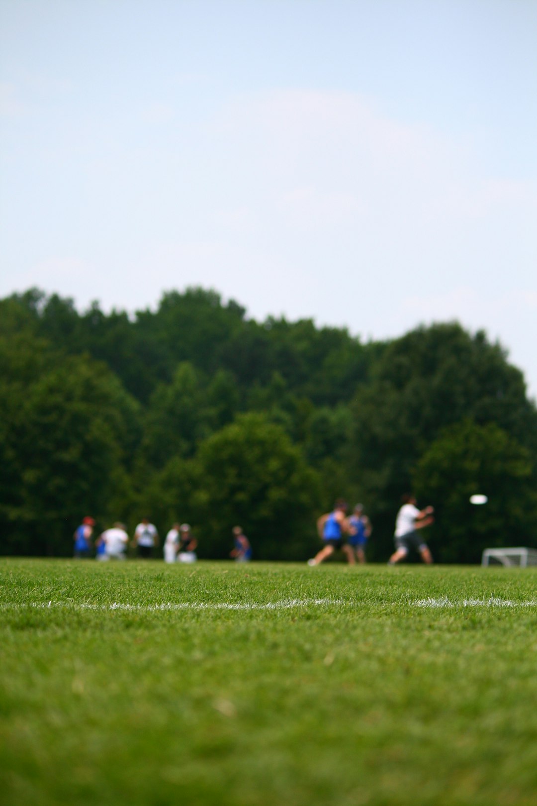 Join the Ultimate Frisbee Community in Singapore: A Guide for Beginners